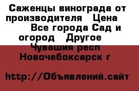 Саженцы винограда от производителя › Цена ­ 800 - Все города Сад и огород » Другое   . Чувашия респ.,Новочебоксарск г.